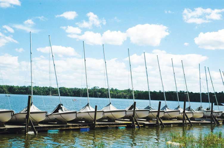 Sailboats at Lake Wauberg, UF's own lake where students can sail free of charge